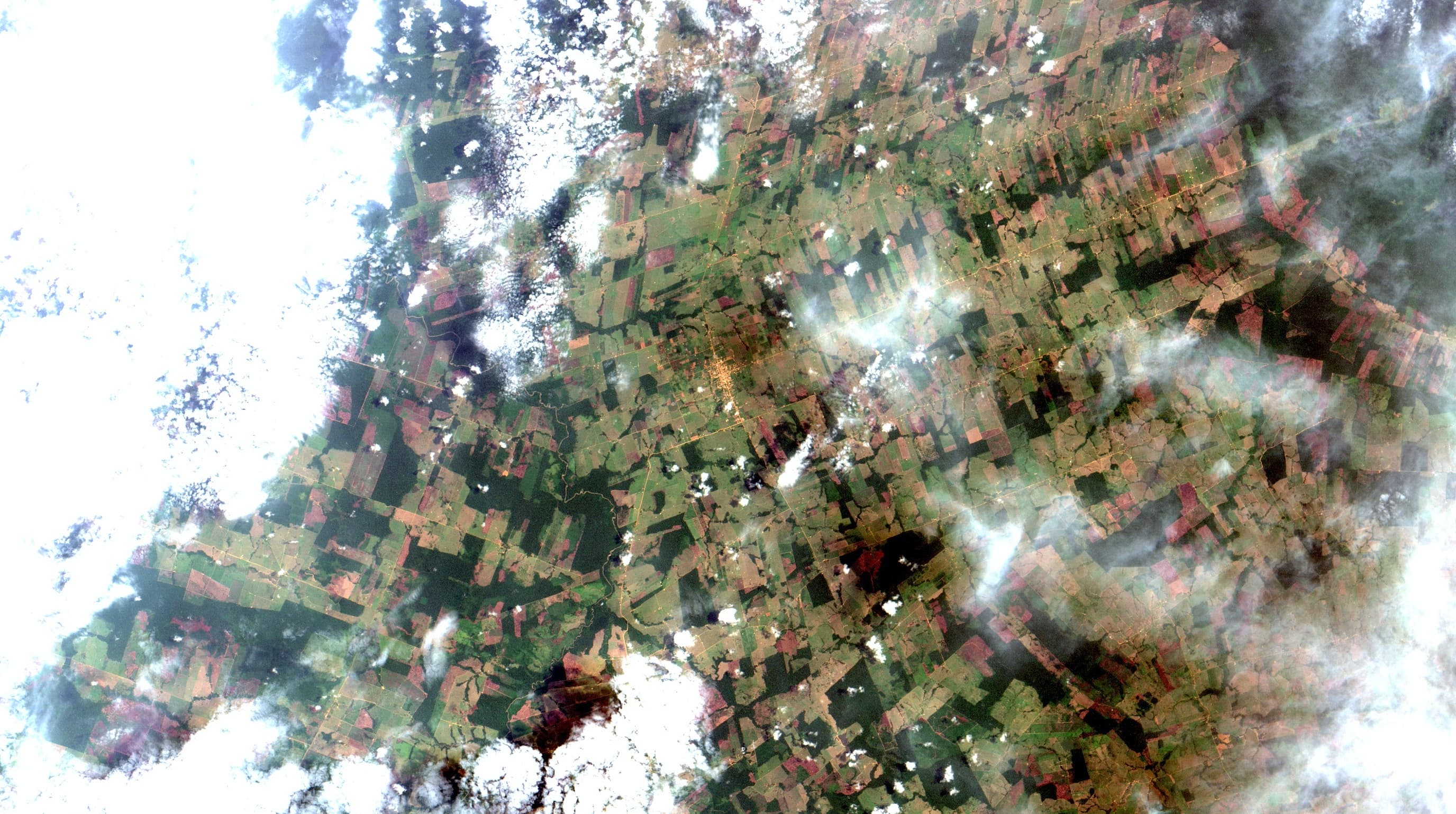 A satellite view of the Amazon in Rondônia, Brazil: dark green forest survives only in scattered fragments and strips, while most of the frame is carved into the pale rectangles of cleared cattle pasture and cropland, laced by a grid of dirt access roads.