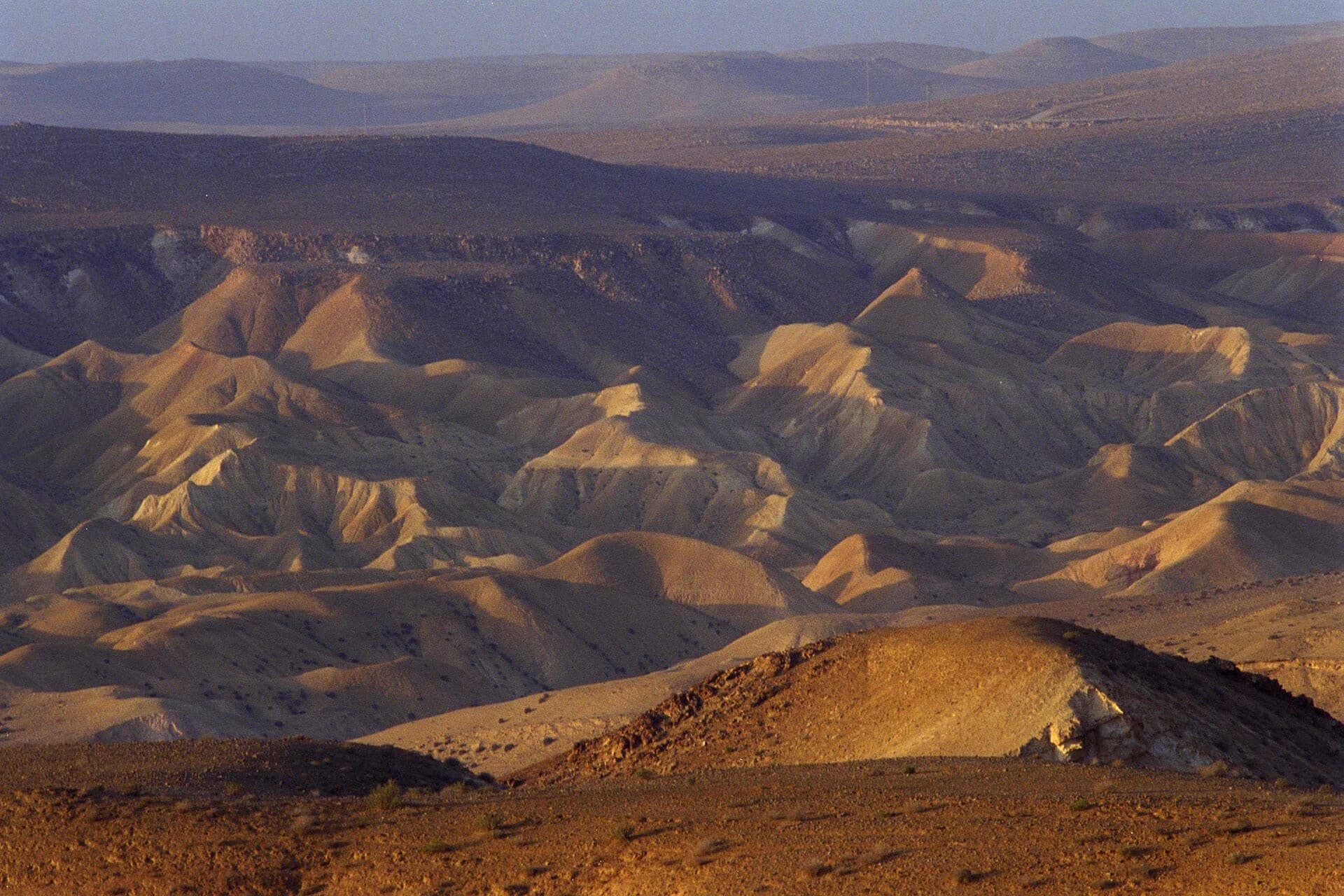 Bare, folded desert hills in the Negev near Avdat in early light, ridged in ochre and grey, with no plant, animal or road in sight.